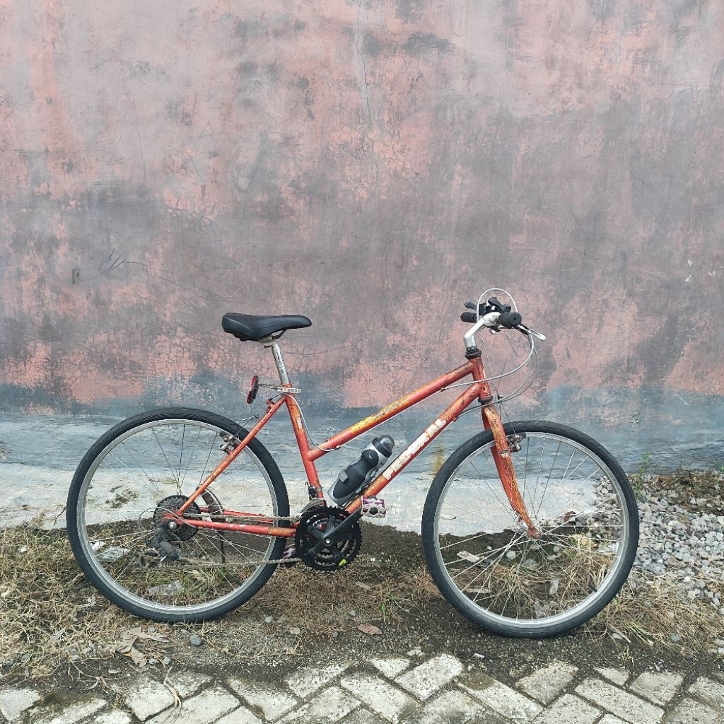 commuterbike Sepeda Federal lady Stray Cat ML432SX SN FC cat decal origianal