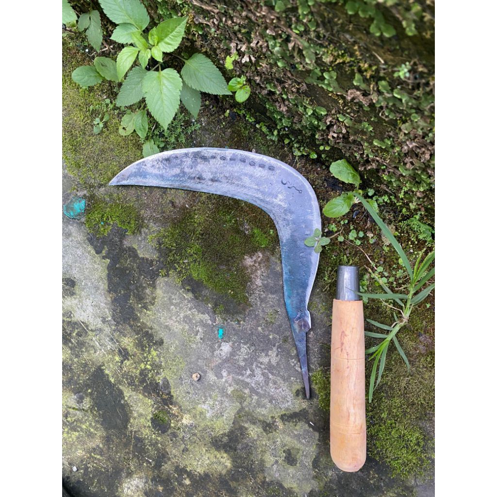 arit sabit rumput pengaritan baja isen