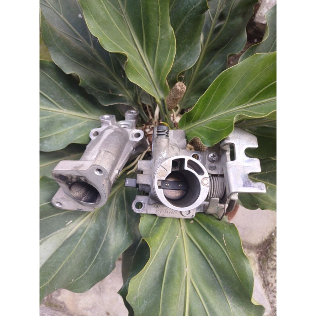 tb vario 125 original