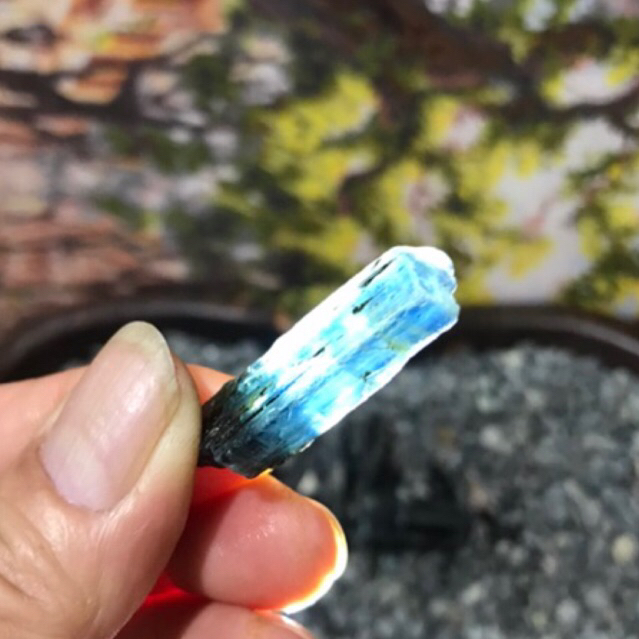 kyanite nature raw kualitas super / blue sapphire Australia Per Gram