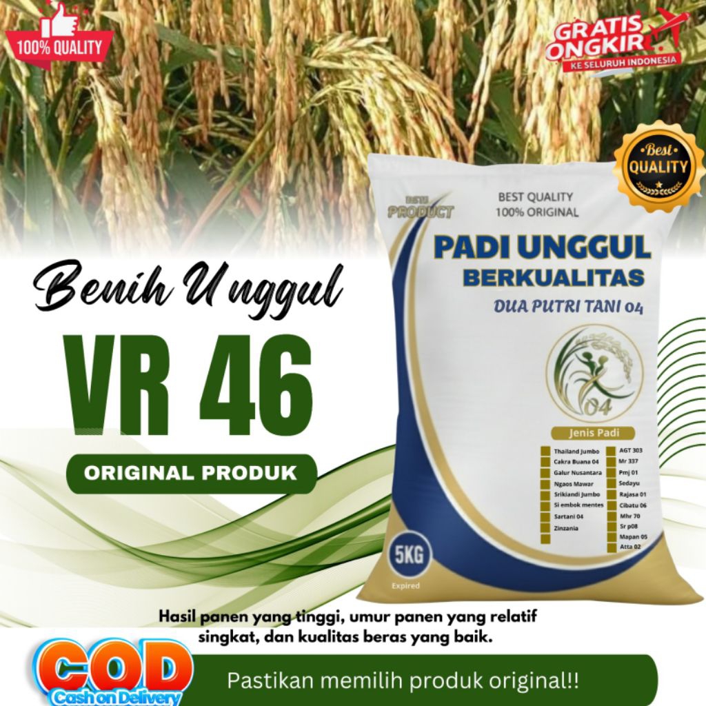 Bibit Padi Unggul VR 46 PREMIUM Kemasan 5kg