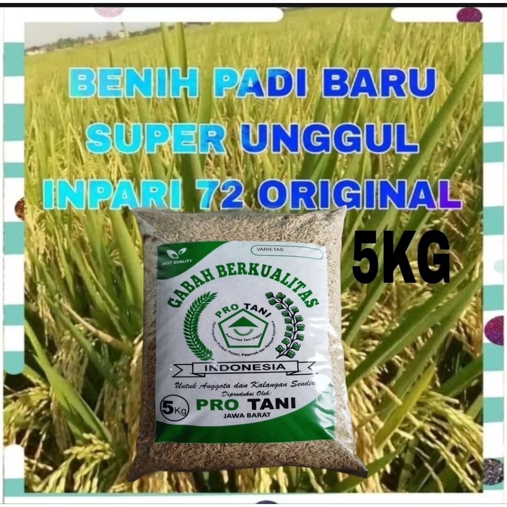 PROMO 5KG BENIH PADI INPARI-72 LABEL PUTIH SUPER ORIGIBAL BERKWALITAS