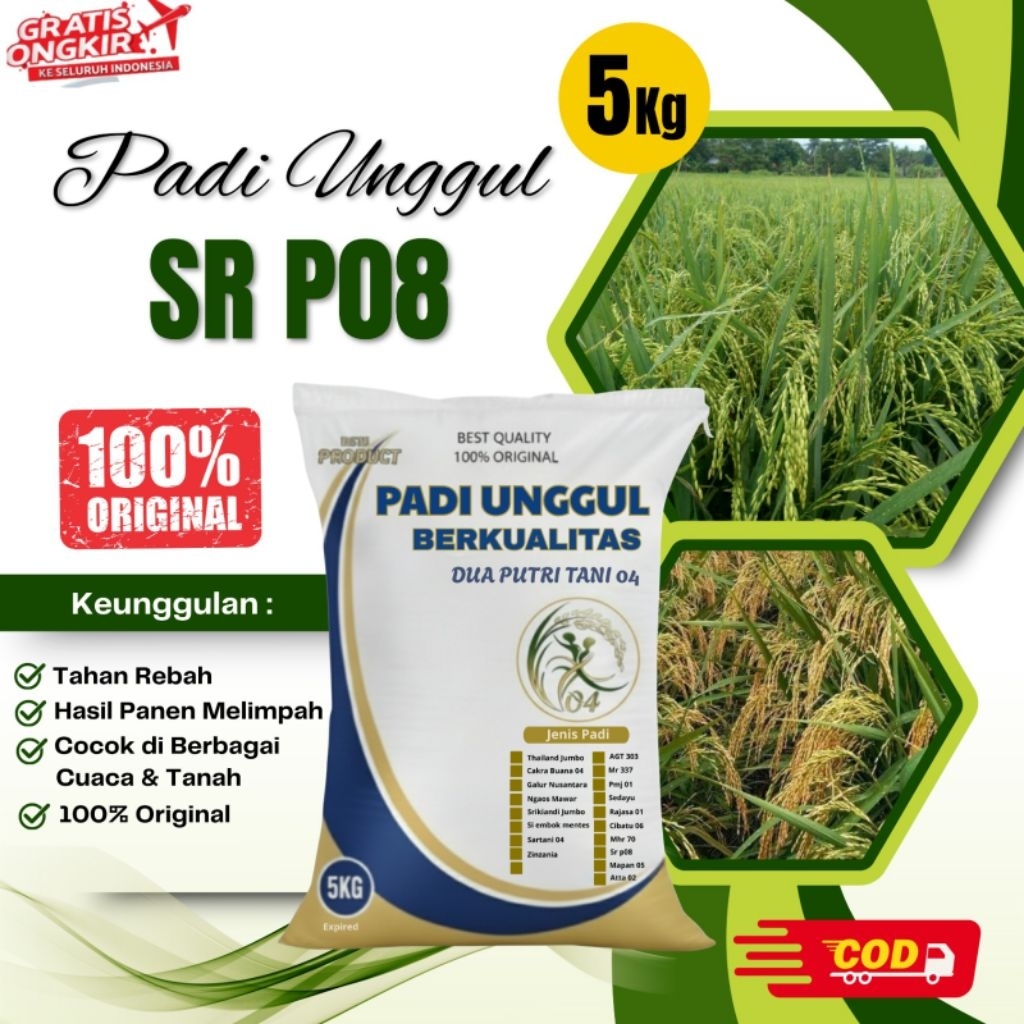 BIBIT PADI SR P 08 KEMASAN 5KG