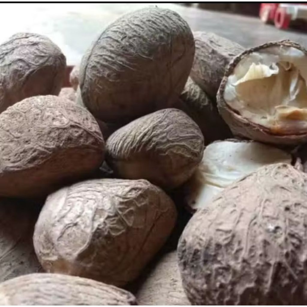 kluwek/picung utuh masih mentah per 1kg