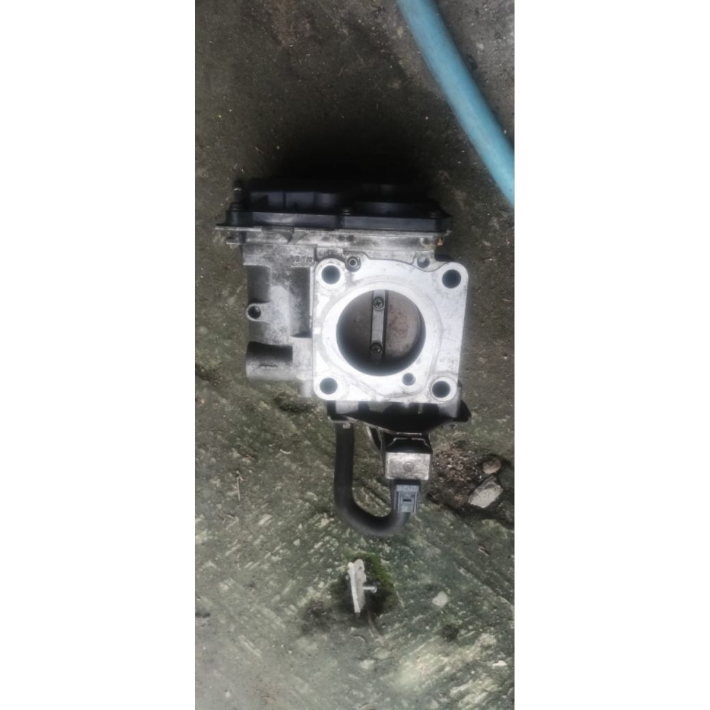 copotan ori turtle body mobilio