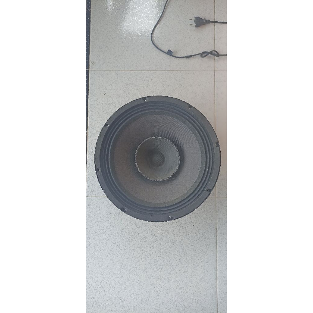 spiker philips 12 in