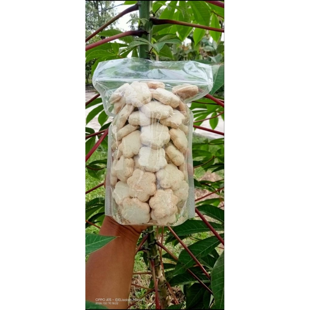 kue bangkit