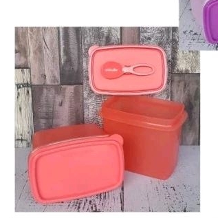 tupperware shelf saver (2pcs) 850ml guava 2016