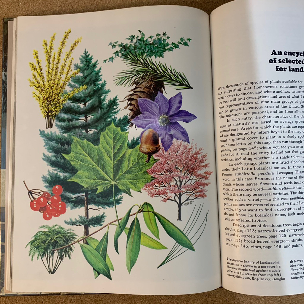 The life time encyclopedia of gardening | Landscape gardening