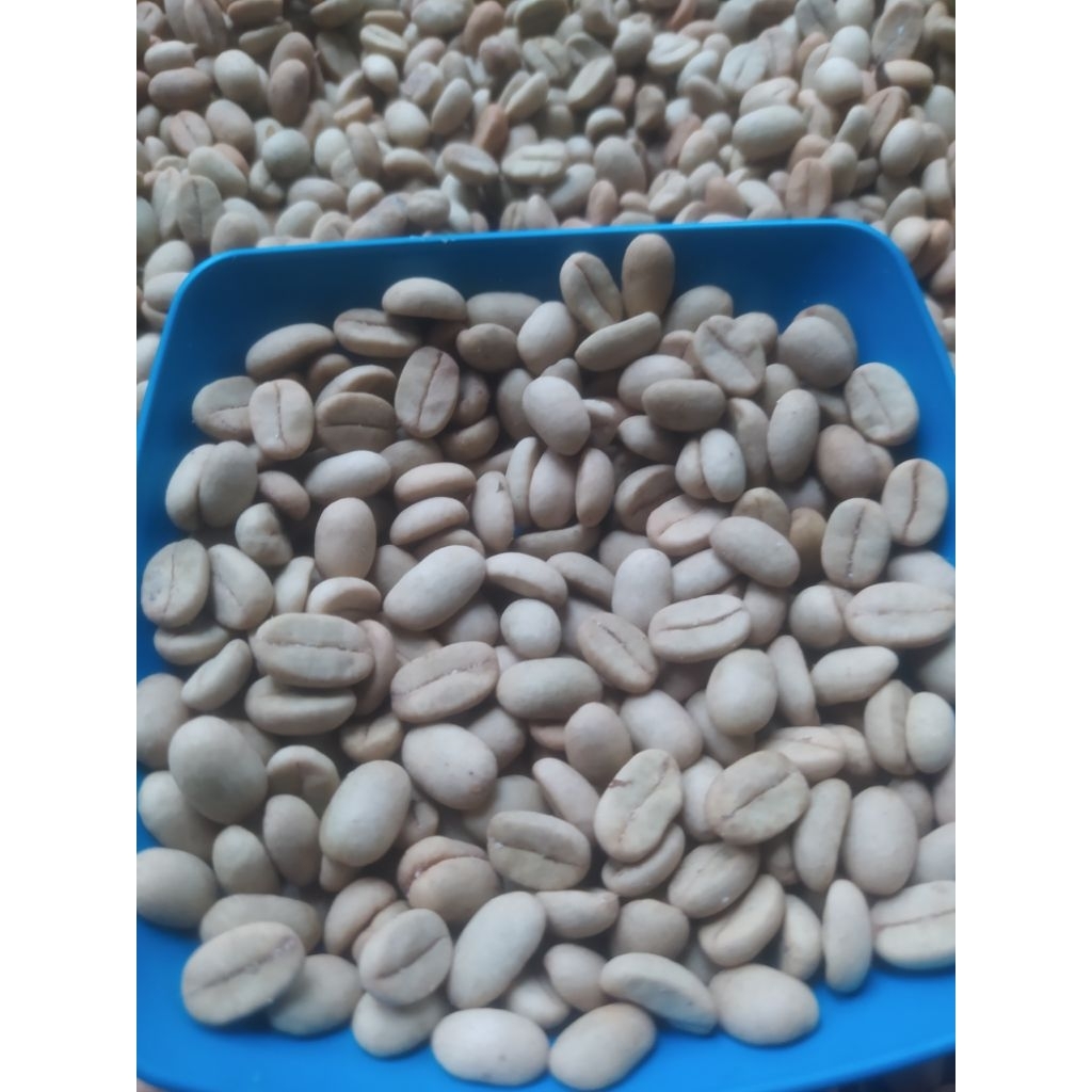 benih kopi arabica ateng super kopi tanah fulkanik papandayan 1 kg