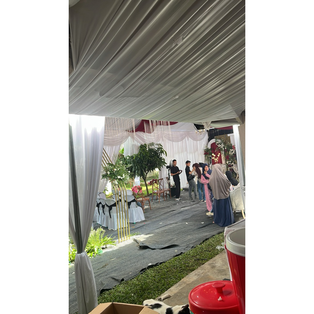 kartu undangan my wedding