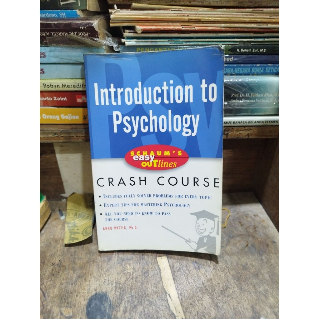 Schaum's Easy Outlines : Introduction To Psychology
