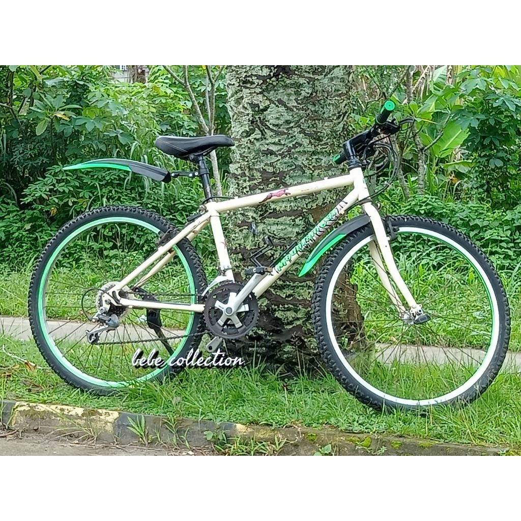Sepeda Gunung (MTB), hybrid : Panasonic Mountain Cat