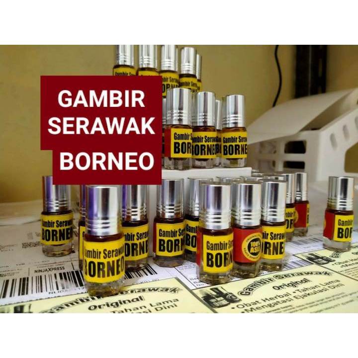 gambir serawak asli 1283464