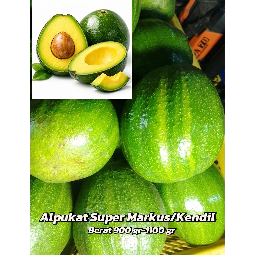 Alpukat Mentega Super Markus 1kg isi 1