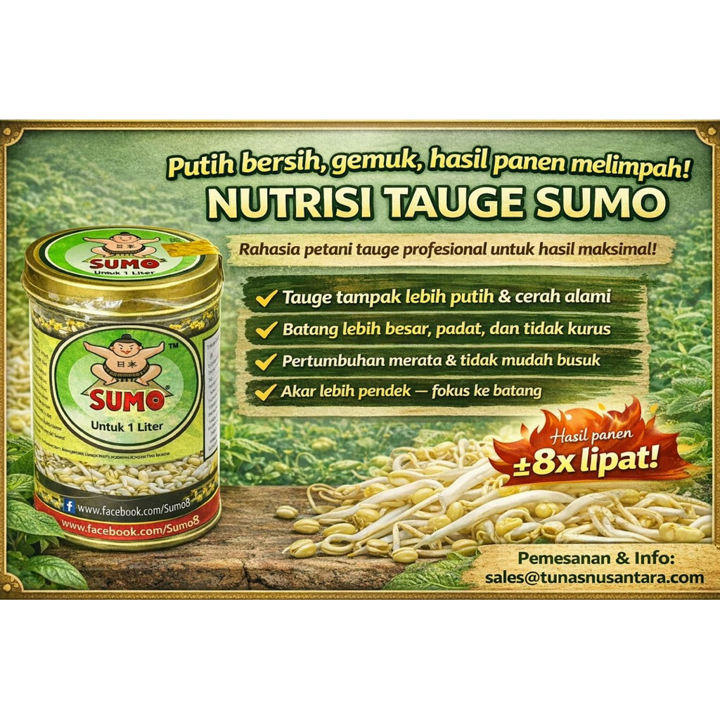 NUTRISI TAUGE SUMO - BUBUK
