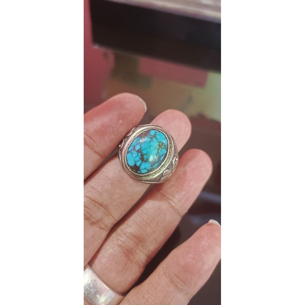 Pirus Persia biru fancy