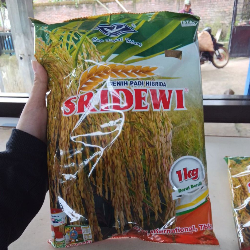 Benih Padi Hibrida SRIDEWI