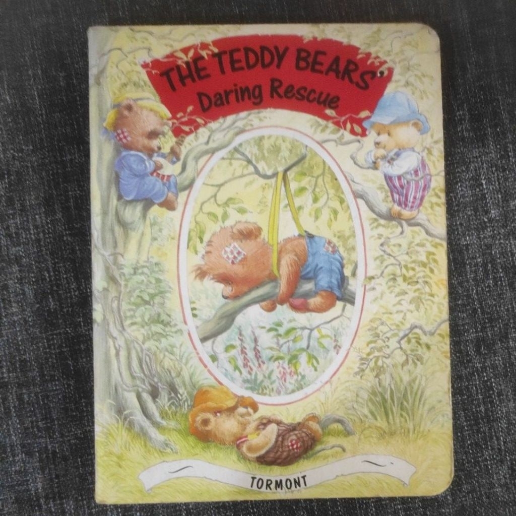 rare boardbook || the Teddy bears daring rescue || tormont