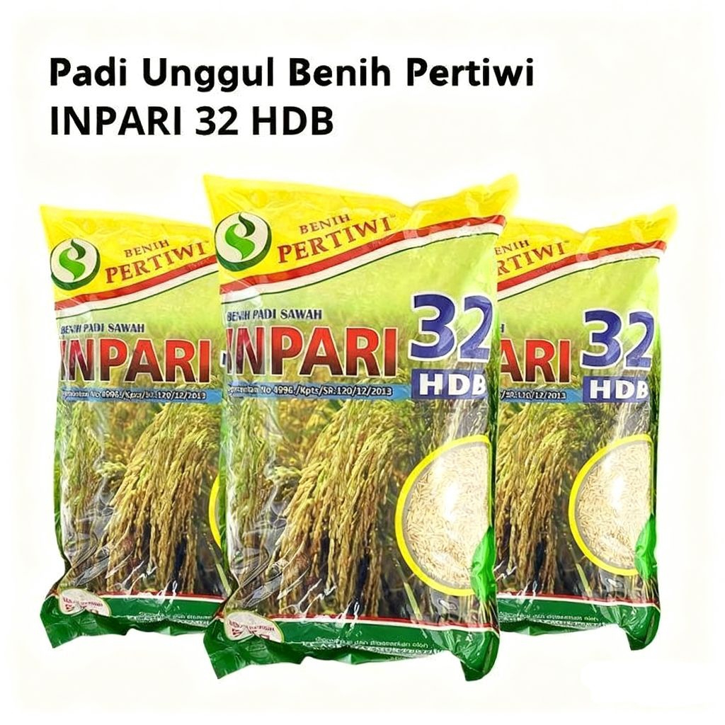 Benih Padi INPARI 32 PERTIWI 5KG BENIH PADI UNGGUL PERTIWI