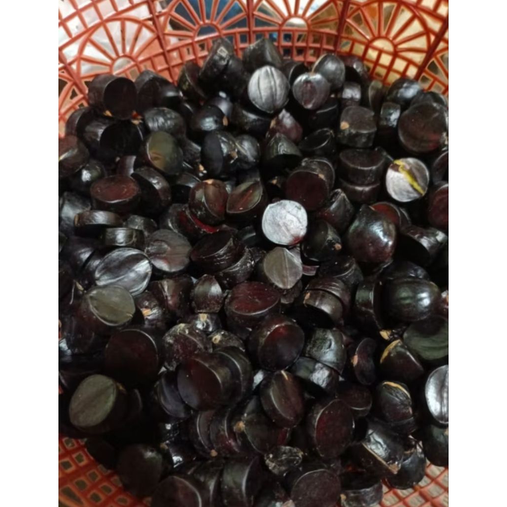 500gr KABAU JOLANG JALING PALEMBANG SEGAR