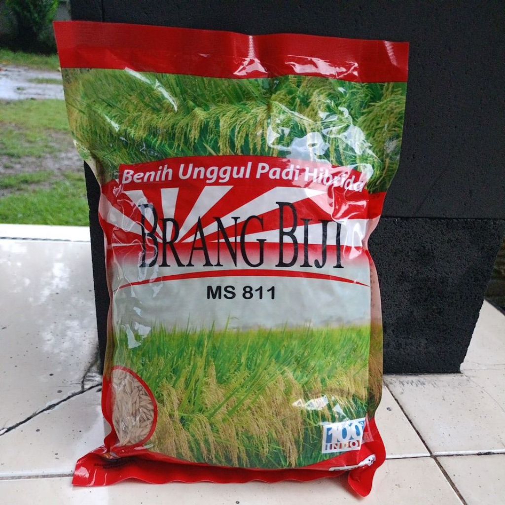 PROMO BENIH UNGGUL PADI HIBRIDA BRANG BIJI