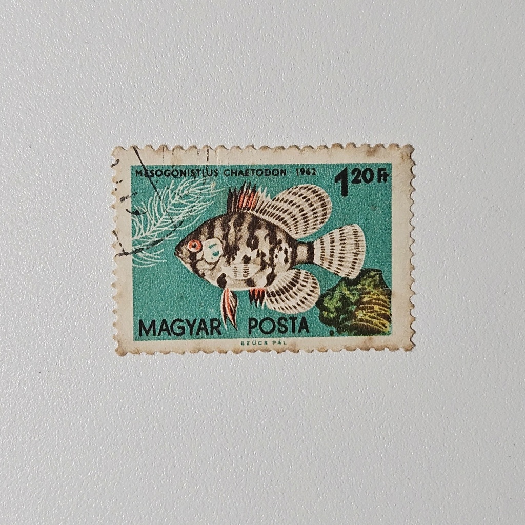 Perangko Fauna Ikan Hias: Butterfly Fish Magyar Posta (Perangko Klasik 1962)