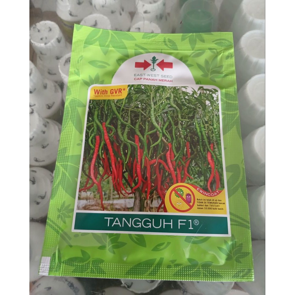 Benih Cabe Keriting TANGGUH F1 - Tahan Penyakit, Kualitas Tinggi, 2000 Butir