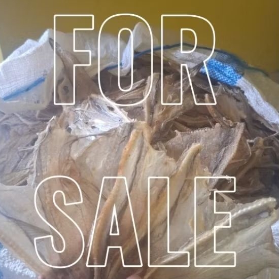 IKAN KERING ASIN TIPIS PEPIJA KHAS TARAKAN ORIGINAL (RASA GURIH HAMPIR TIDAK ASIN)