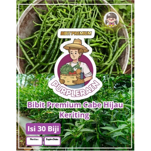 Bibit Premium Cabe Hijau Keriting | Biji Benih Cabe Hijau Keriting | Cabe Ijo Panjang