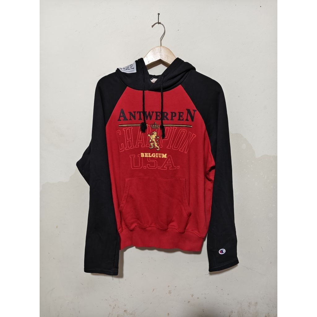 hoodie vetements x champion