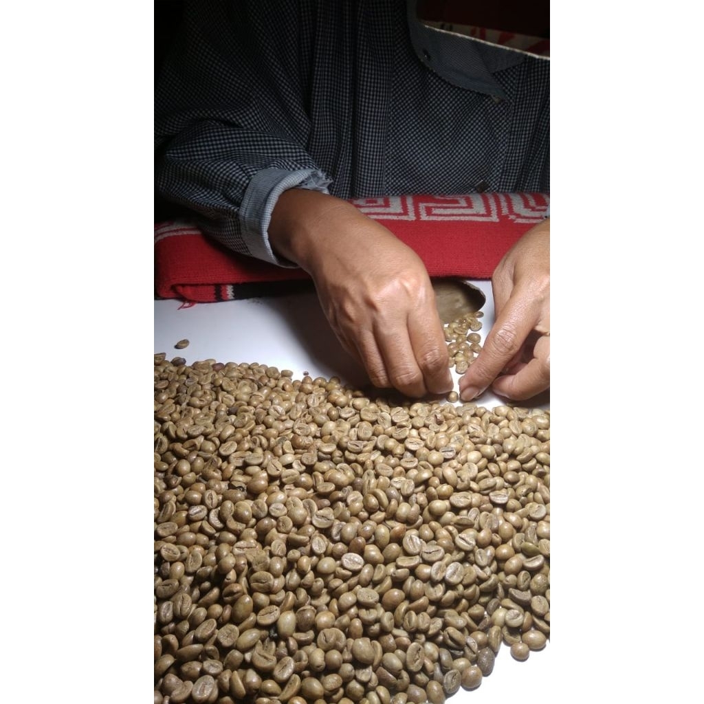 Biji Kopi green bean robusta temanggung