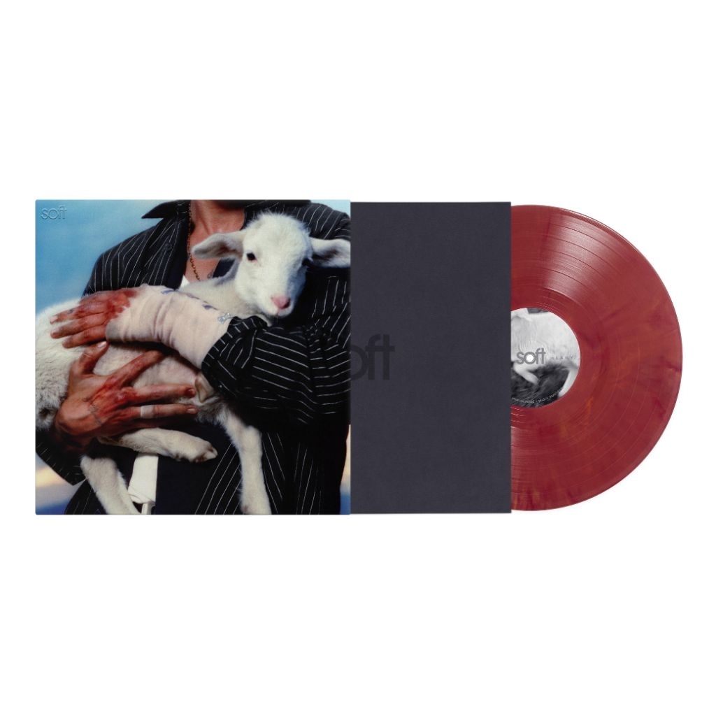 Vinyl LANY - Soft