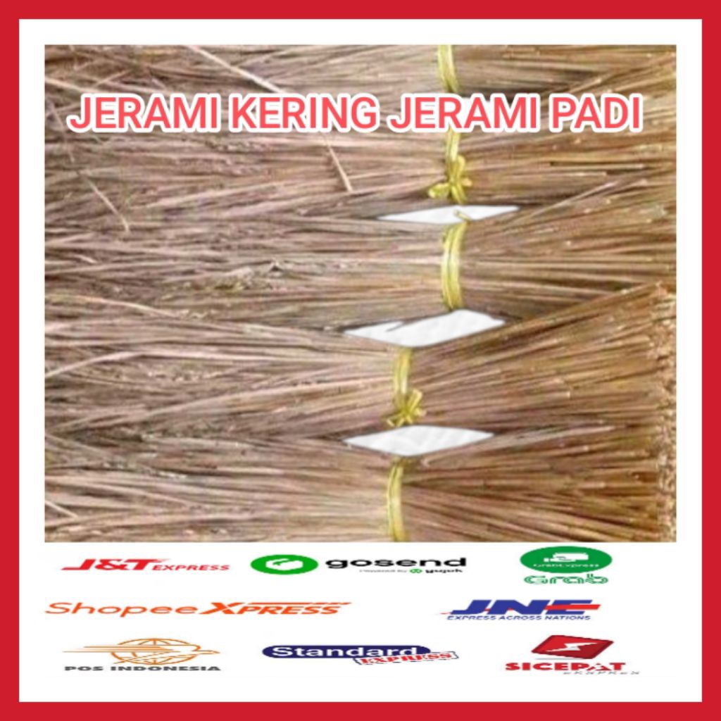 JERAMI KERING JERAMI PADI