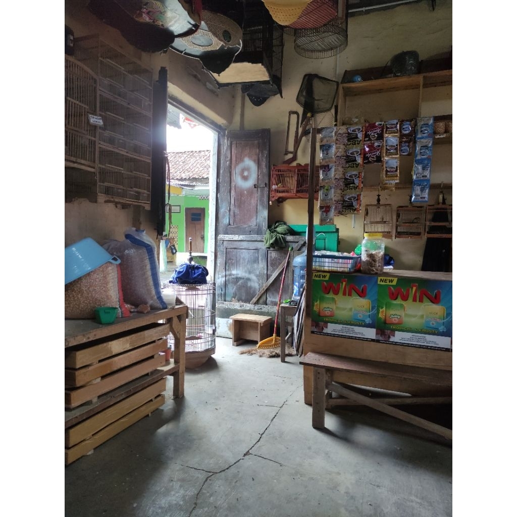 sangkar kecil untuk burung pleci sogon ciblek gunung ciblek semi ciwah prenjak