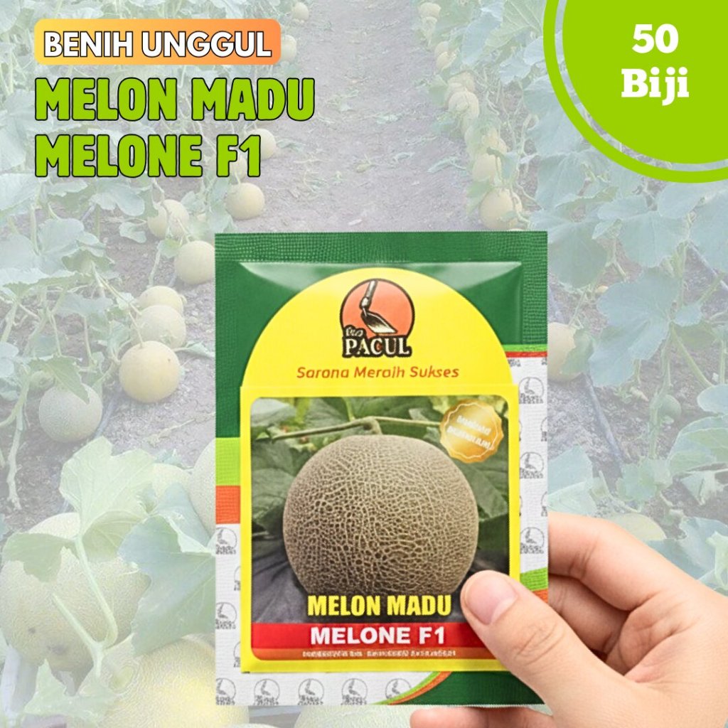 Benih Melon Madu MELONE F1 isi 50 biji - Cap Pacul