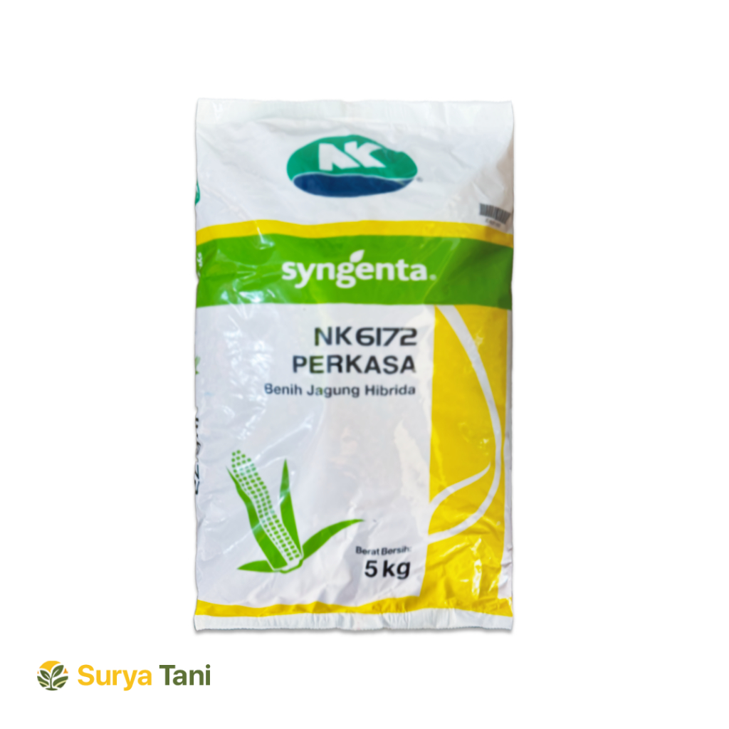 Benih Jagung NK 6172 PERKASA Syngenta 5kg - Bibit Jagung Hibrida Original NK Perkasa