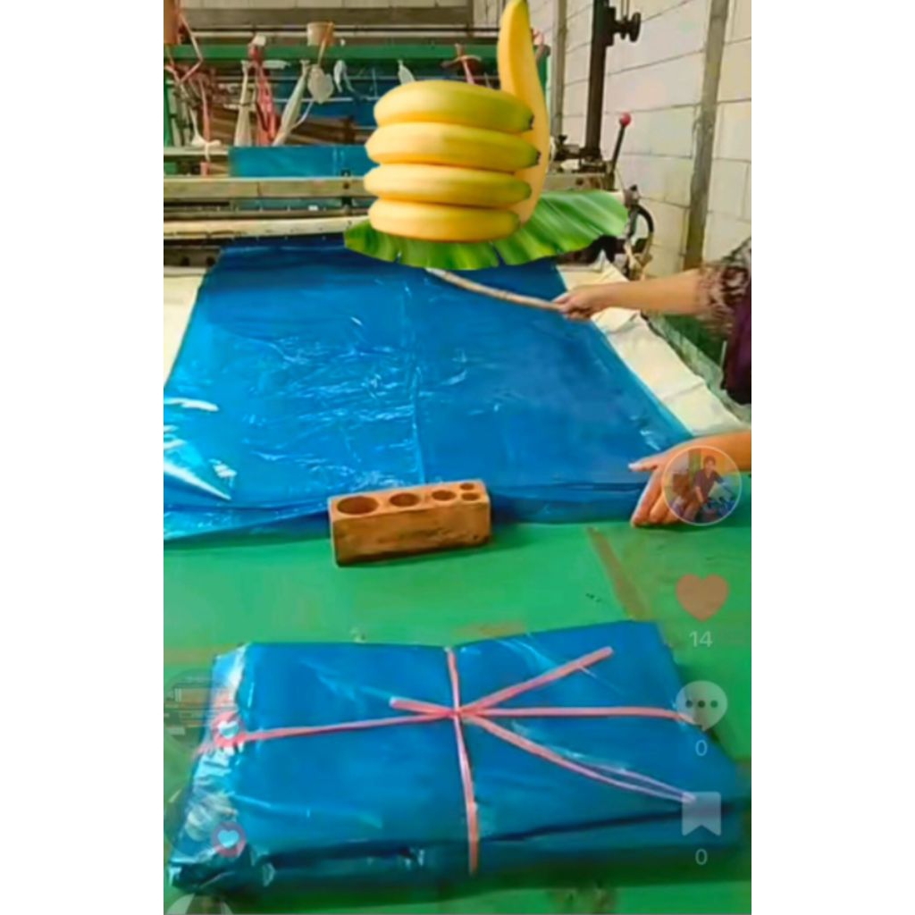 Pesona_Mimin Brongsong Pisang Cavendish (Berlubang) 5Kg/95Lembaran.