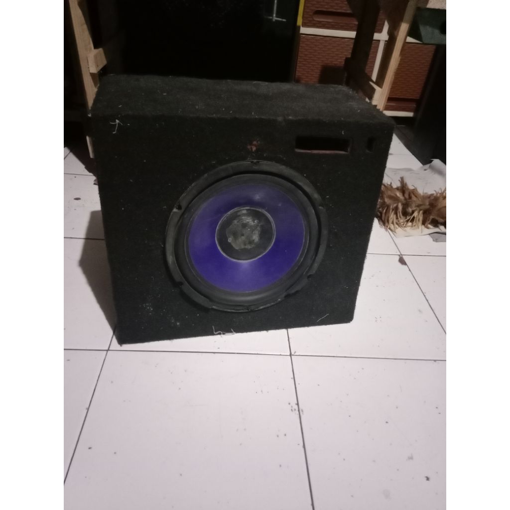 SECOND----SUBWOOFER PASIF 10 INCH plus Box. Dobel coil 350 WATT