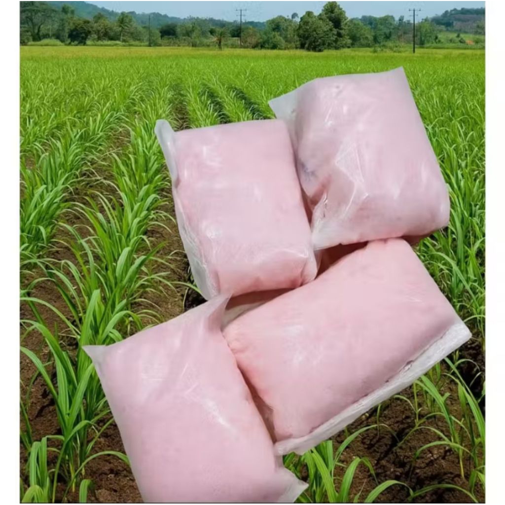 pupuk urea 1kg