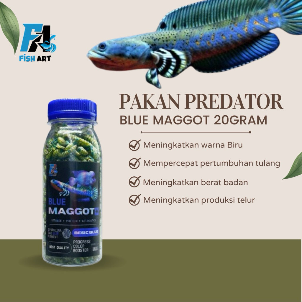 Fish Art • Blue Maggot 20gram Pakan Predator Channa Blue Pulcra