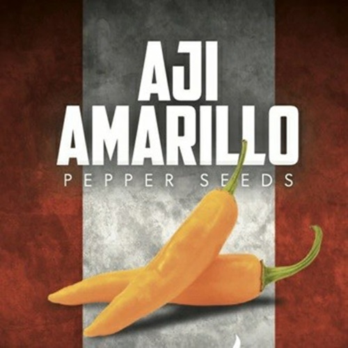 3 Biji Benih PEPPER Aji Amarillo