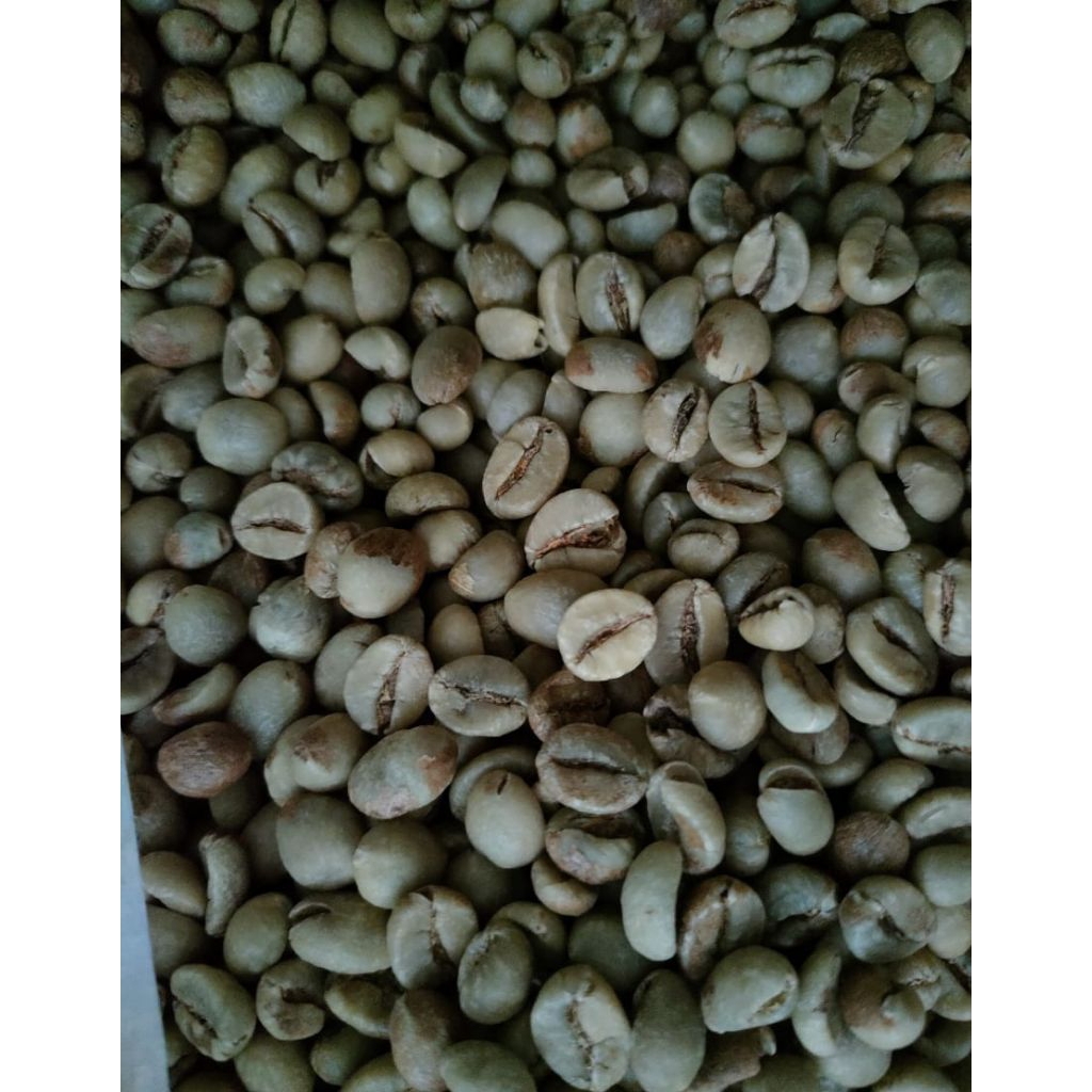 Green Bean Robusta argopuroG1 - Biji Kopi Mentah, di petik merah Sortasi Tangan, Rasa Kuat
