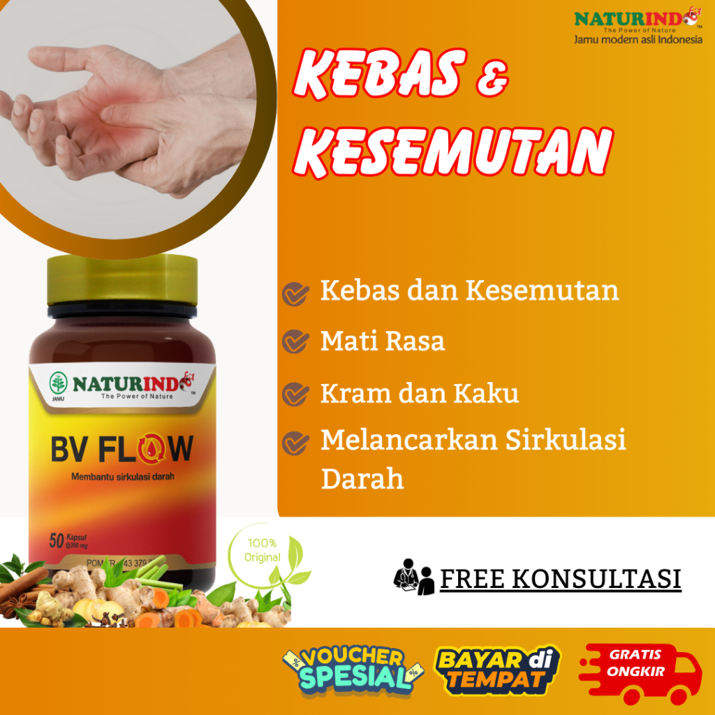 Obat Herbal Kebas Kesemutan Tangan & Kaki Lancarkan Sirkulasi Darah Cegah Varises BV Flow Naturindo