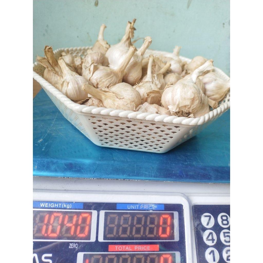 Bawang putih  Lokal  Jawa (bukan Kating/import) dari hasil panen petani Temanggung 250 gr