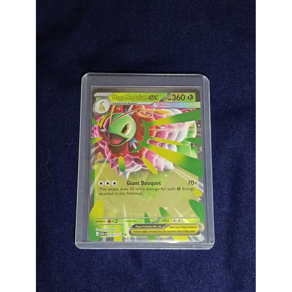 Mega Meganium EX English