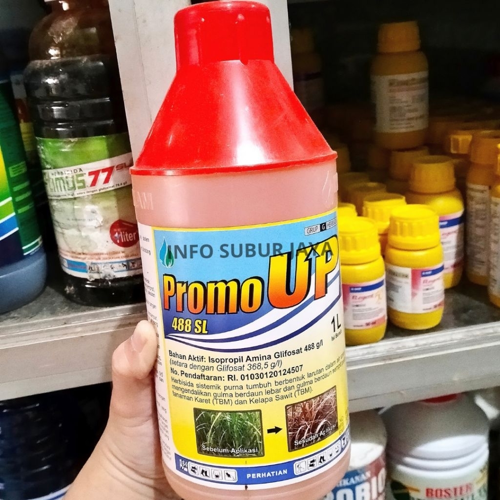 Promo Up 488 SL– 1 Liter Racun Rumput Mati Sampai Akar