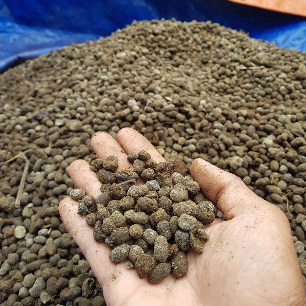 Kohe Kambing/Srintil Kambing 100Gram - 1Kg