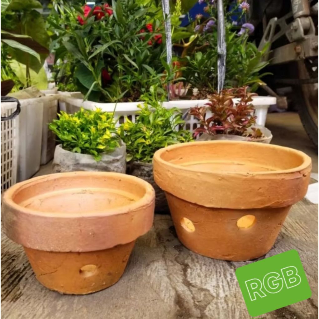 Pot Gerabah Anggrek, Pot Anggrek Bolong, Pot Bunga. RGB.