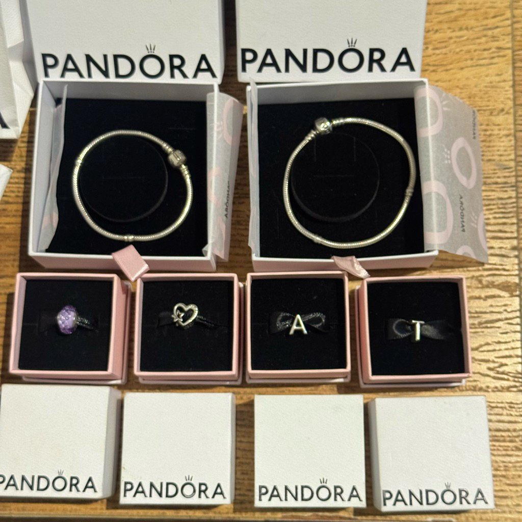 Pandora Bracelet + Charms